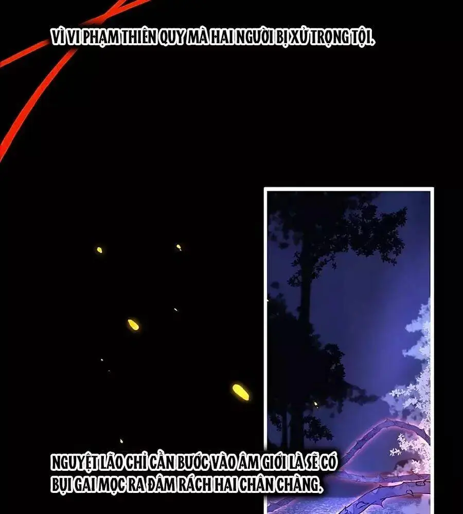 Chapter 20