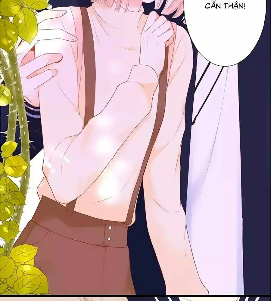 Chapter 20