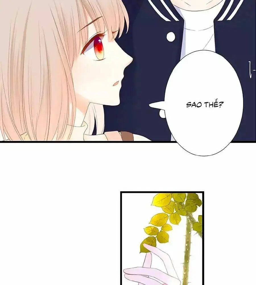 Chapter 20