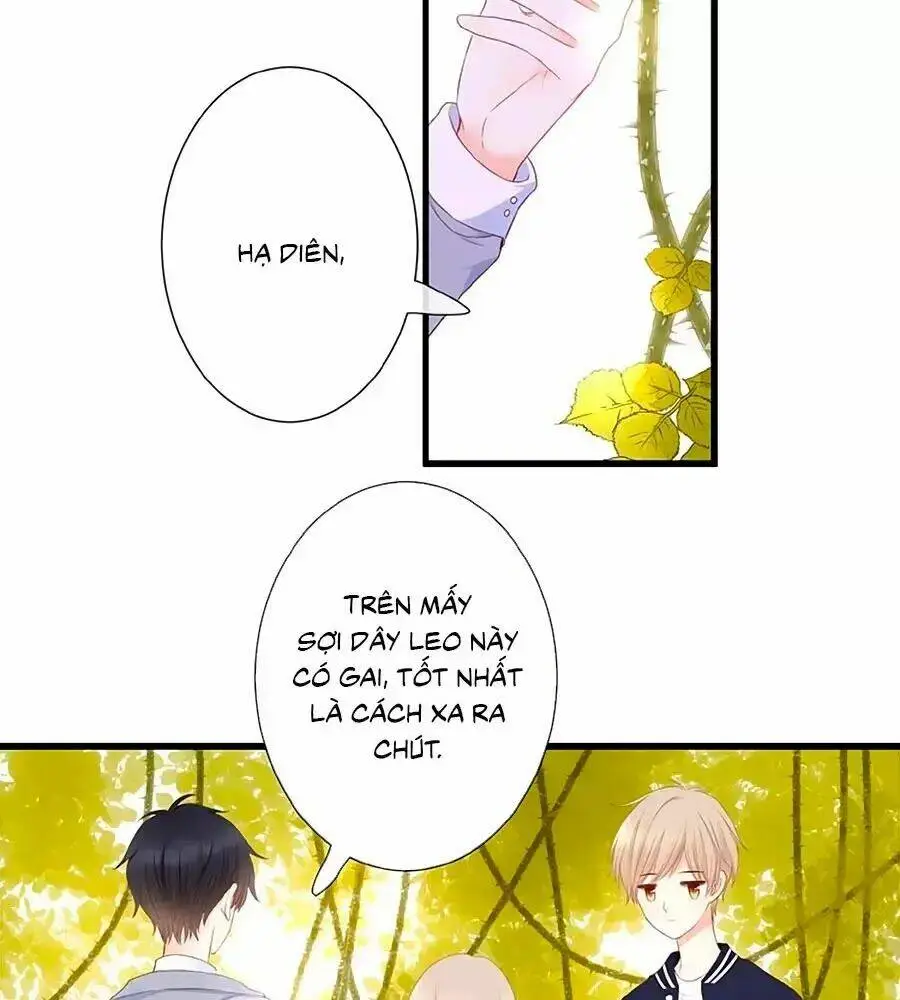 Chapter 20