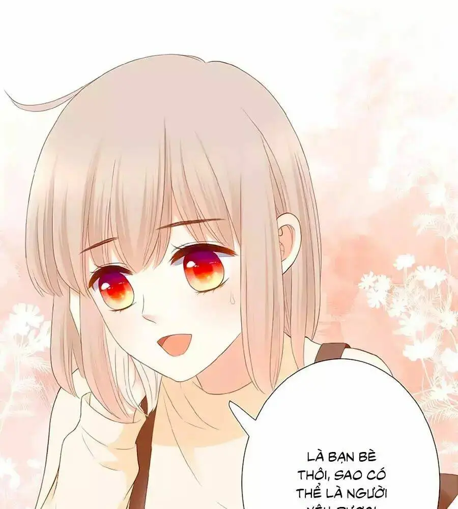Chapter 20