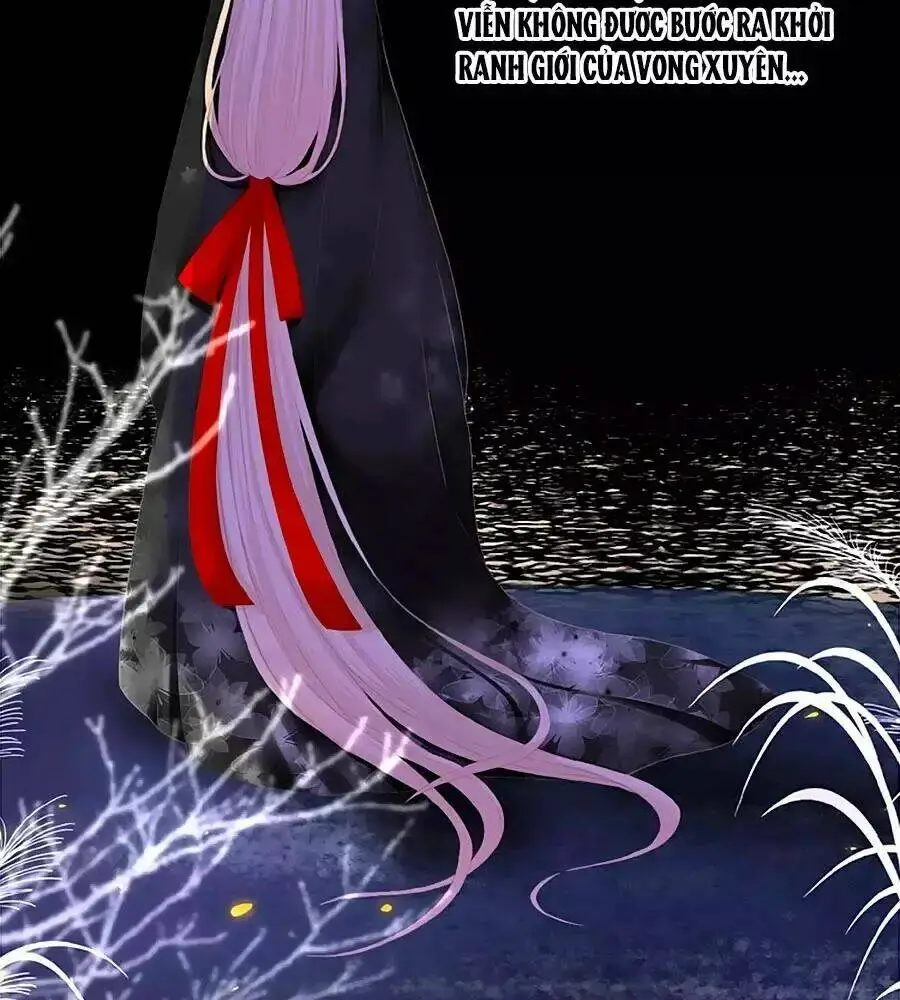 Chapter 20