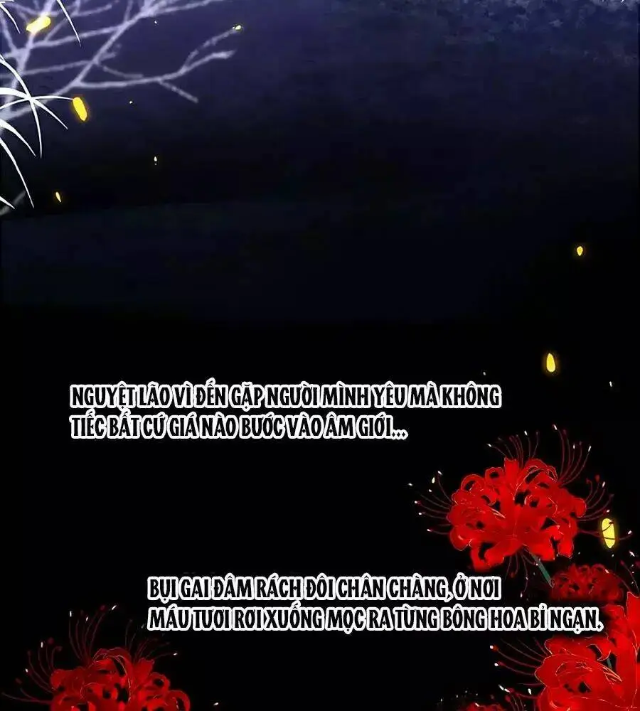 Chapter 20