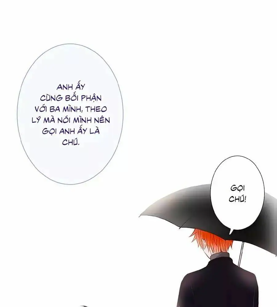 Chapter 20