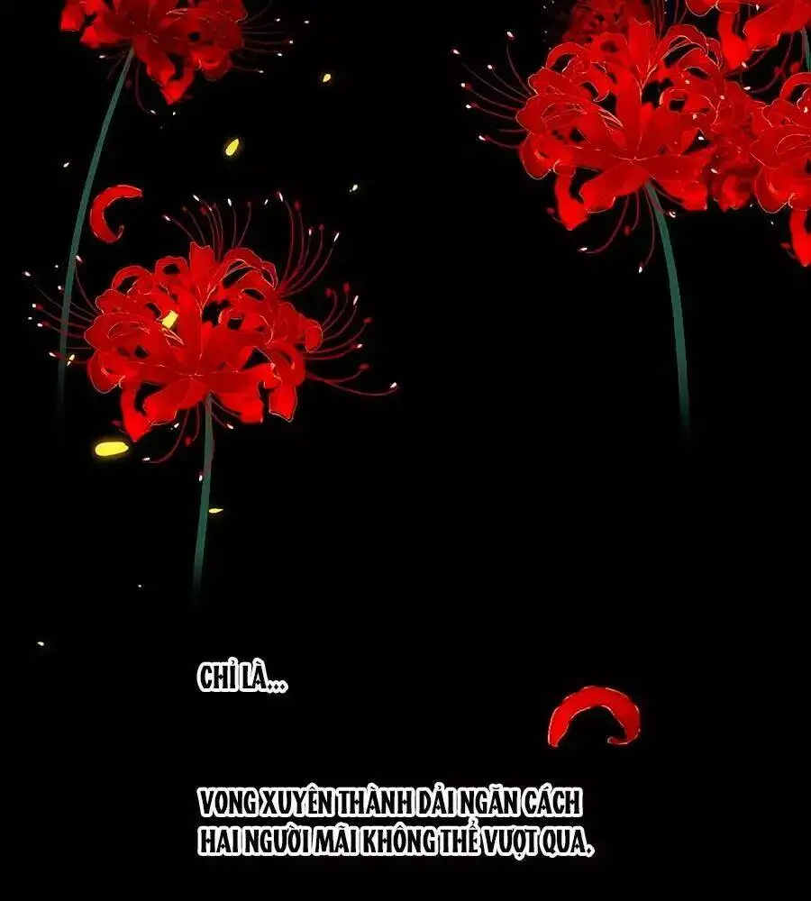 Chapter 20