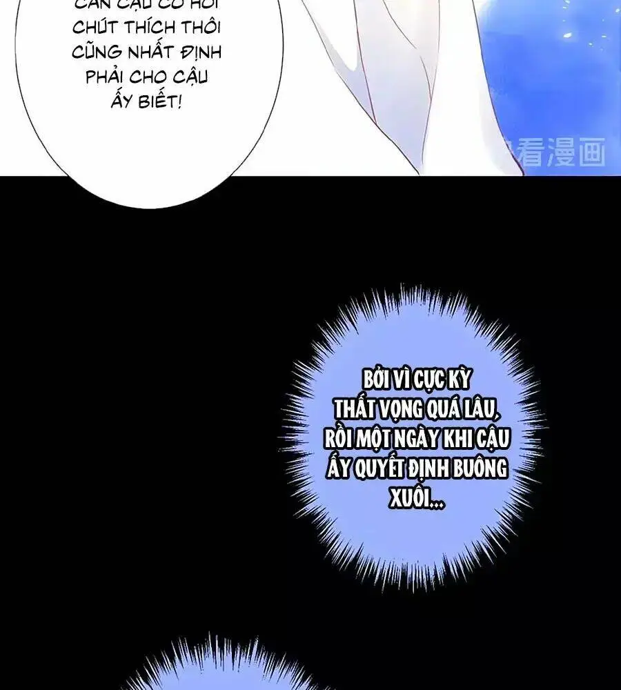 Chapter 20