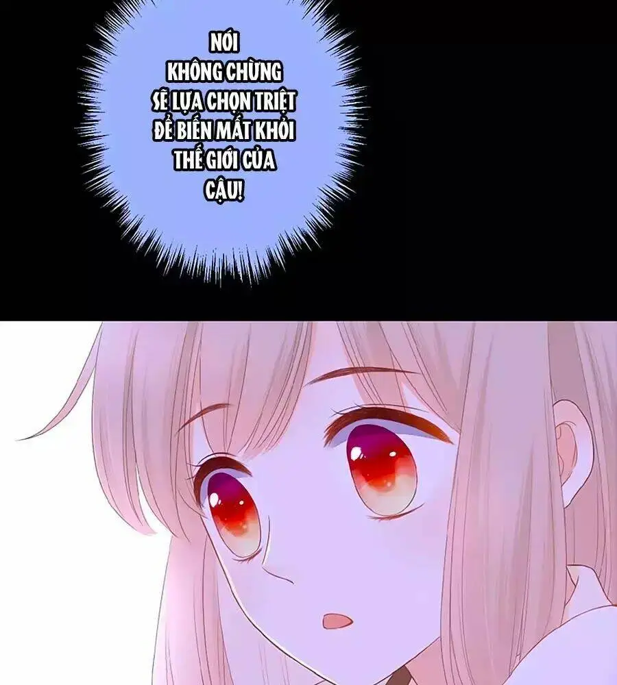 Chapter 20
