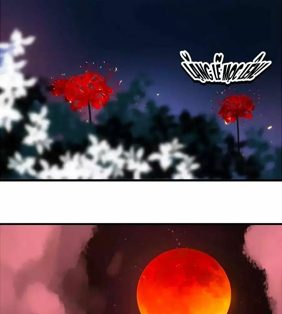 Chapter 20