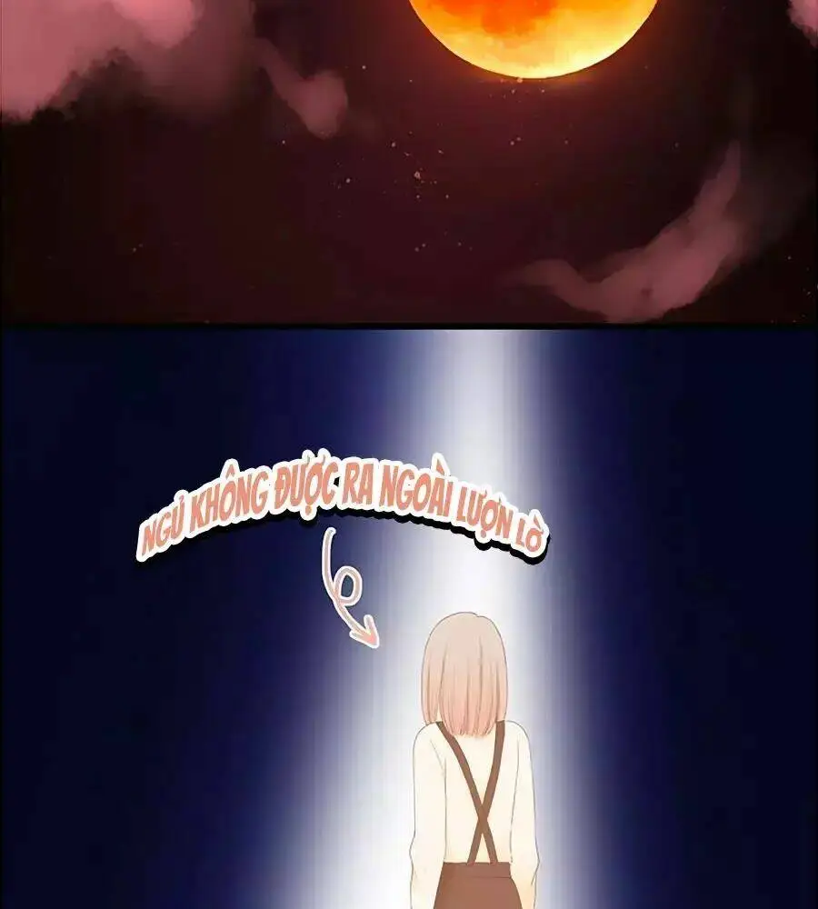 Chapter 20