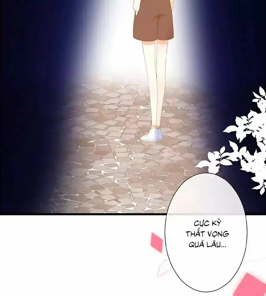 Chapter 20