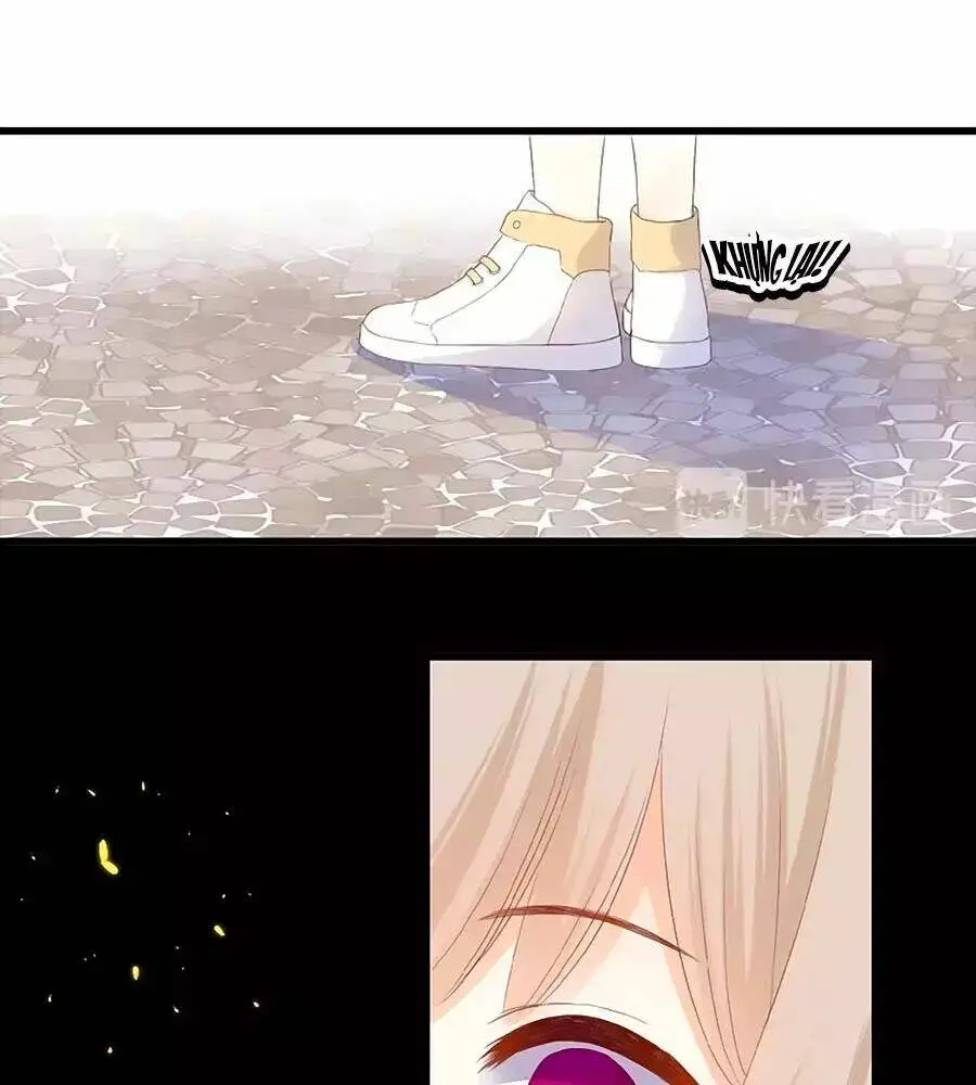 Chapter 20