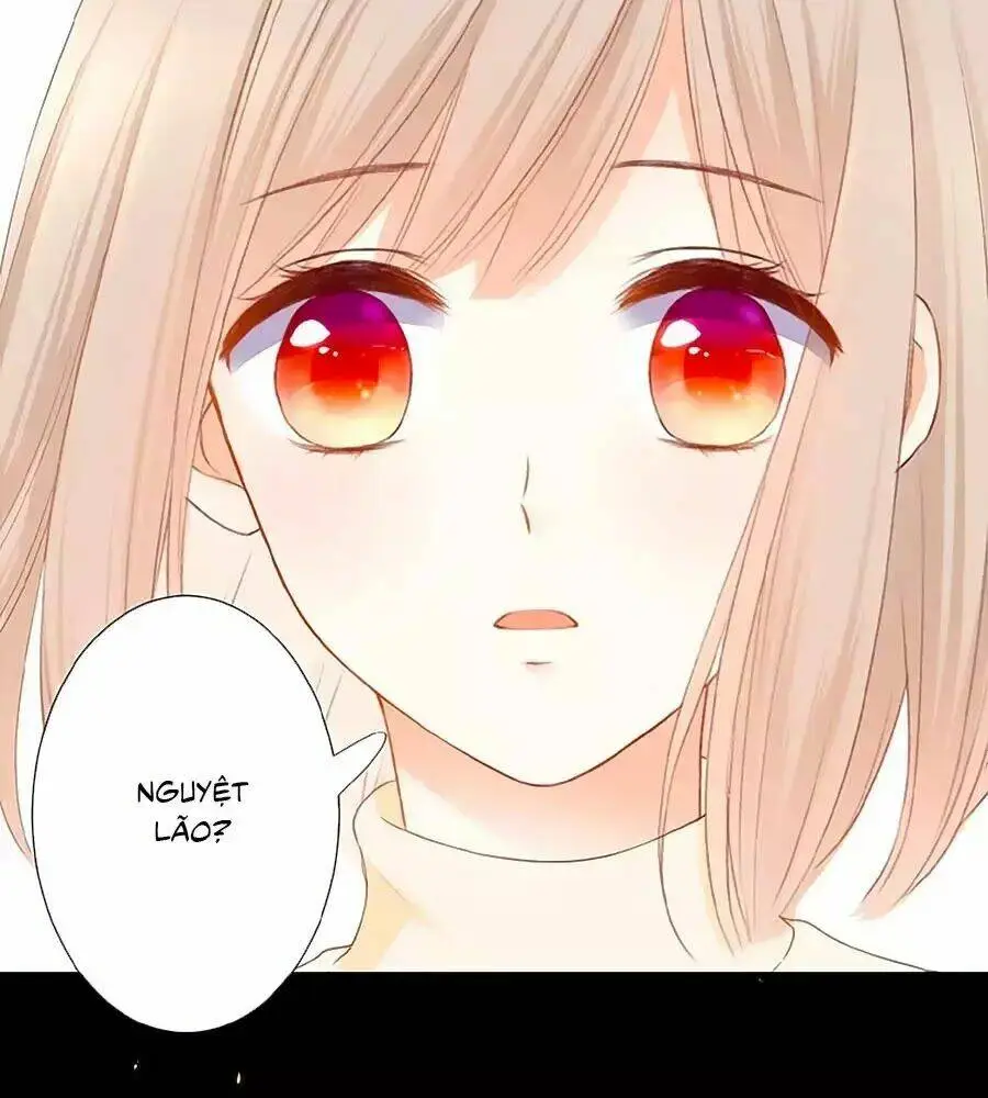 Chapter 20