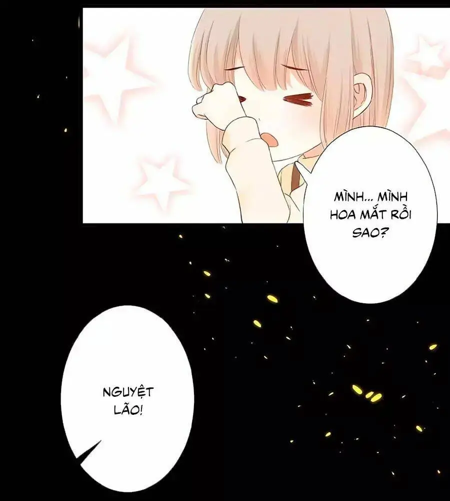 Chapter 20