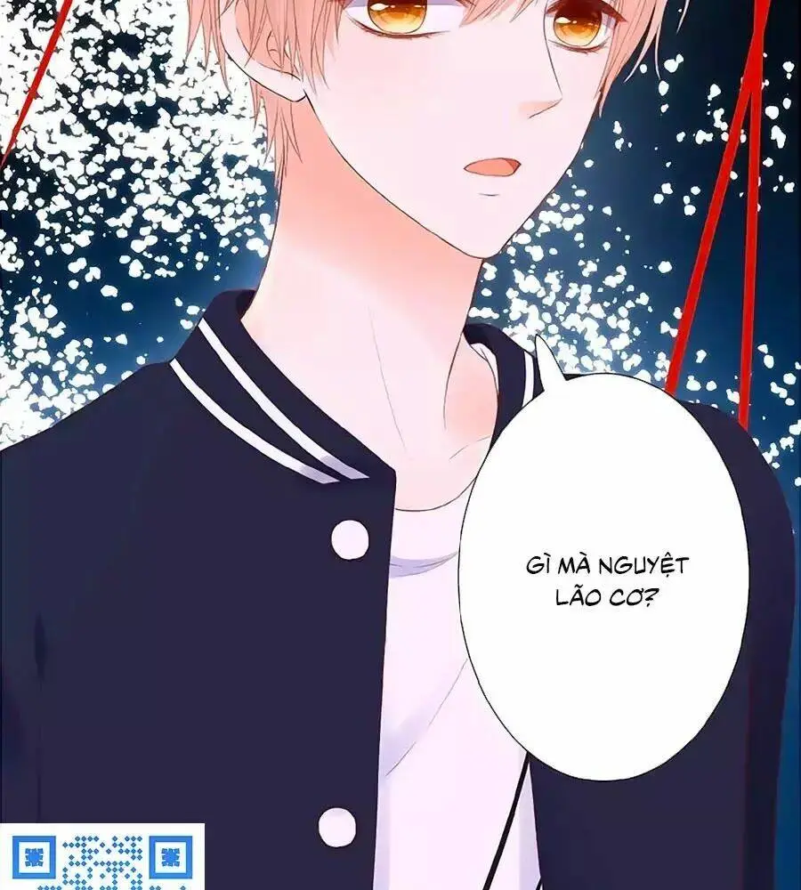 Chapter 20