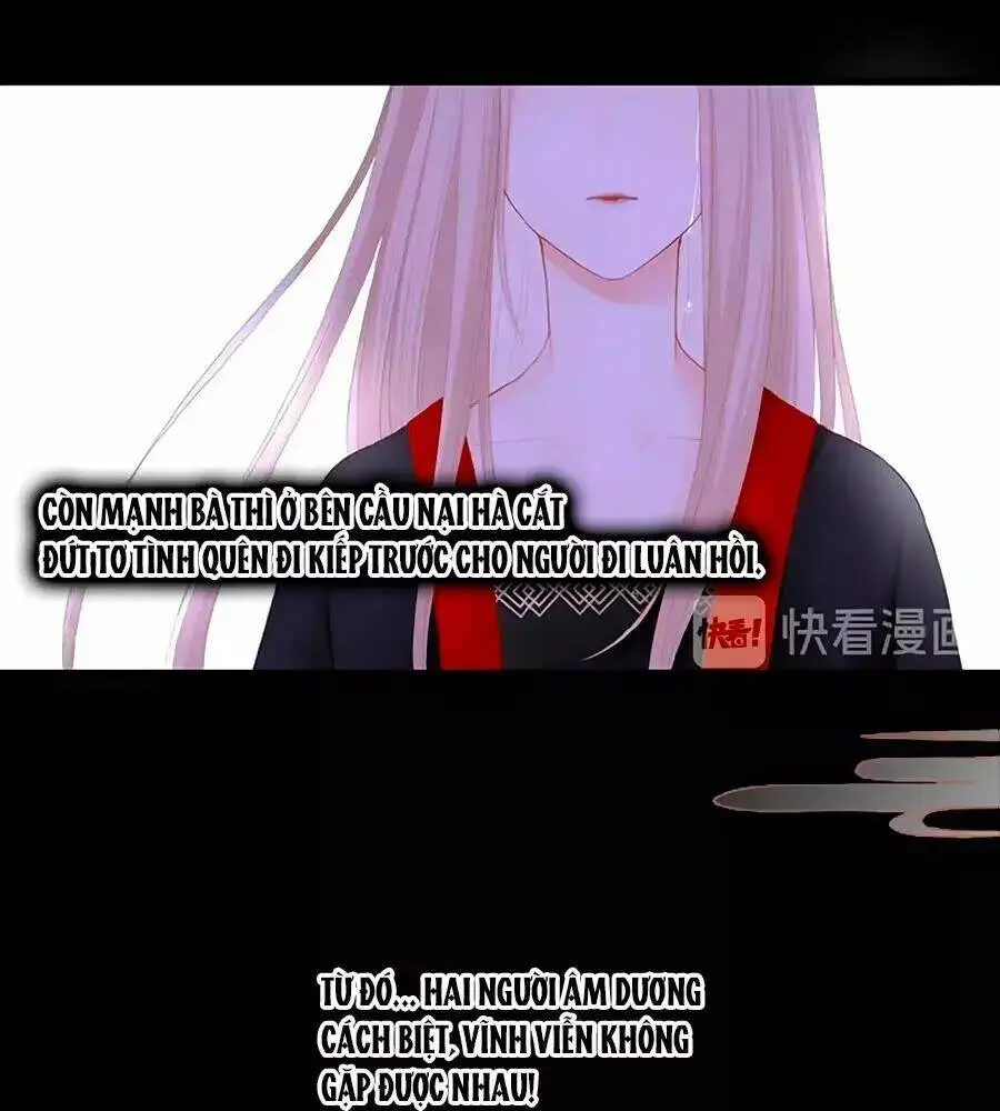 Chapter 20