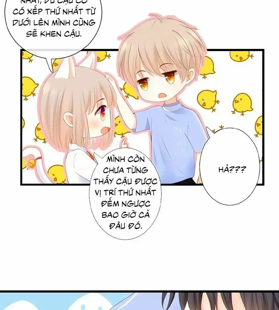 Chapter 17