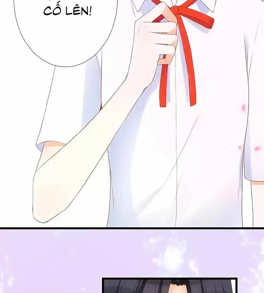 Chapter 17