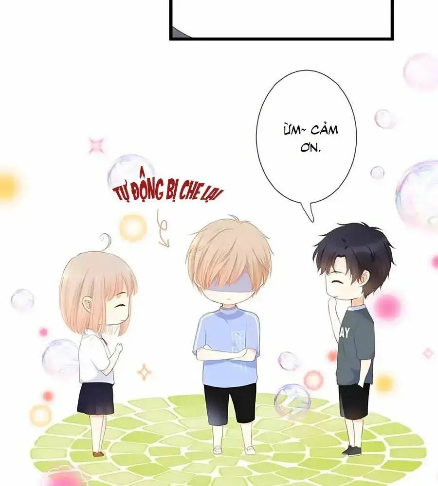 Chapter 17