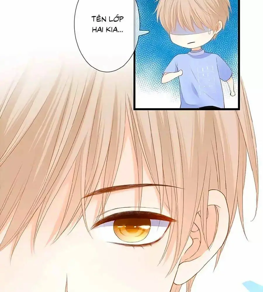 Chapter 17