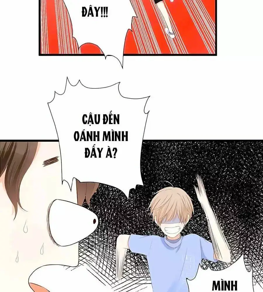 Chapter 17