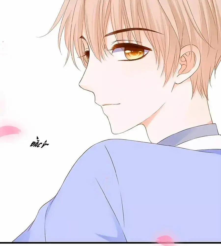 Chapter 17