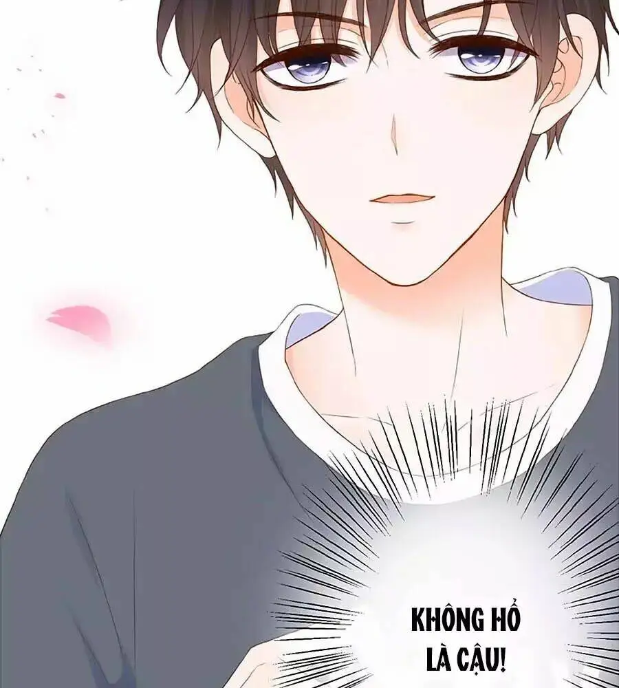 Chapter 17