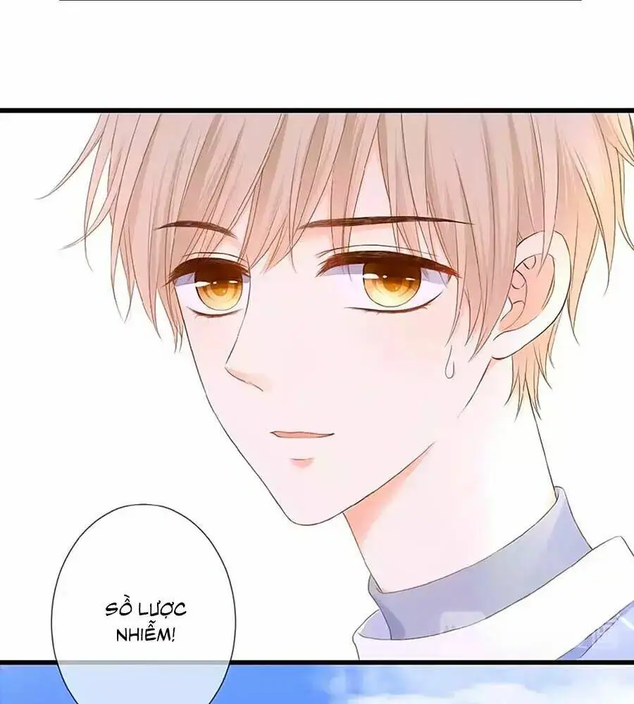 Chapter 17
