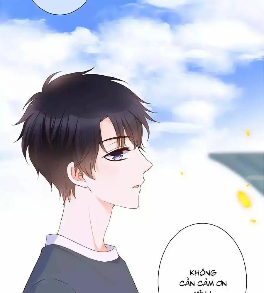 Chapter 17