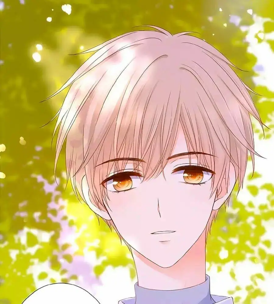 Chapter 17