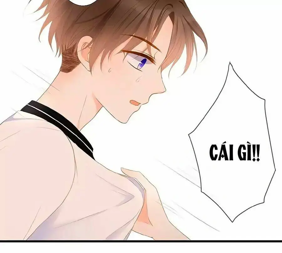 Chapter 16