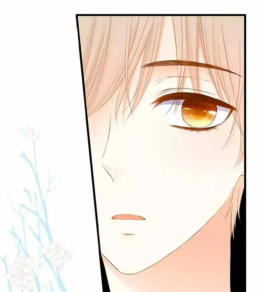 Chapter 16