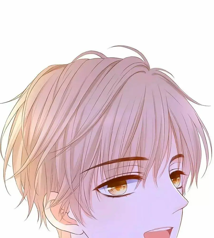 Chapter 16
