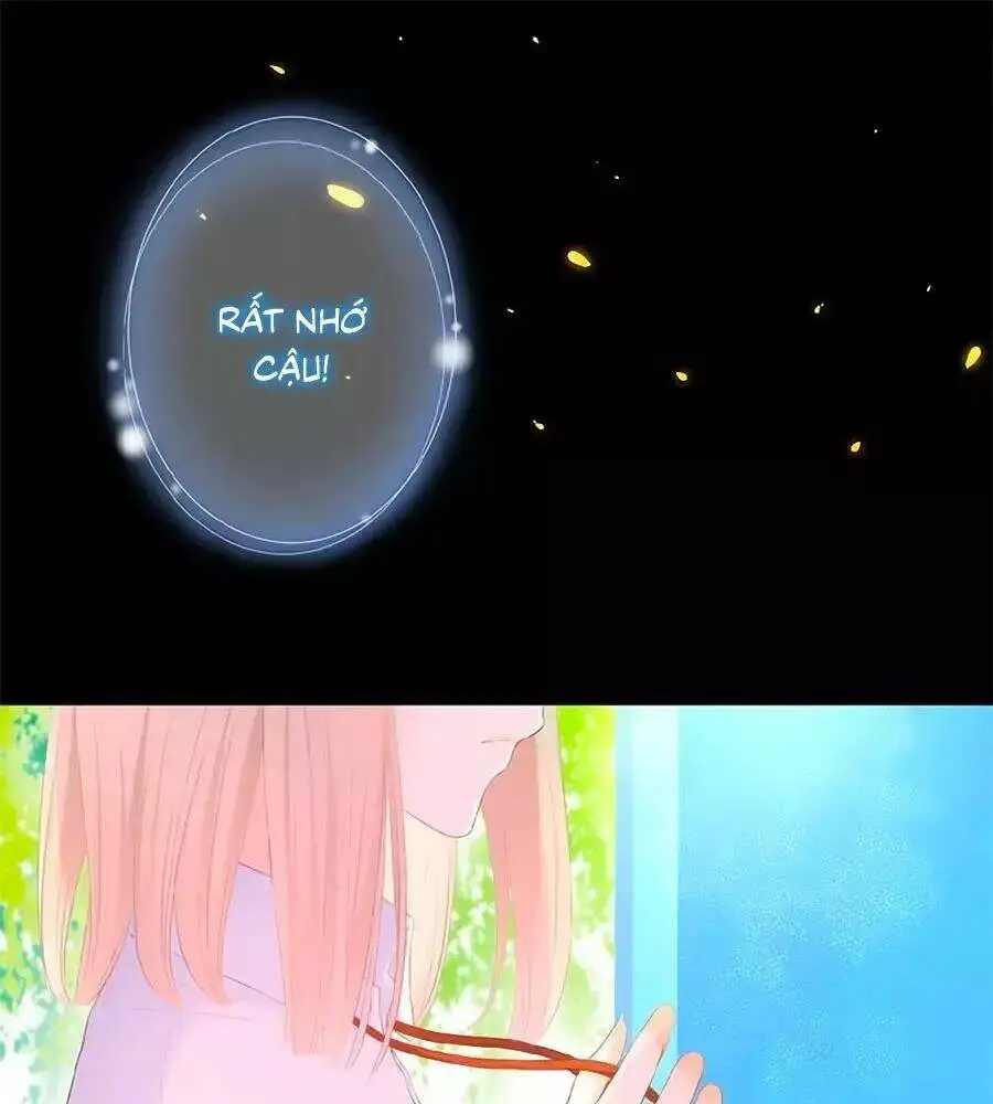 Chapter 15