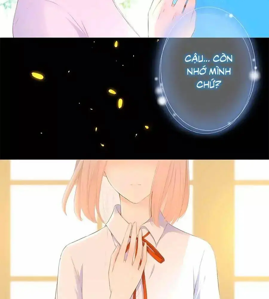 Chapter 15