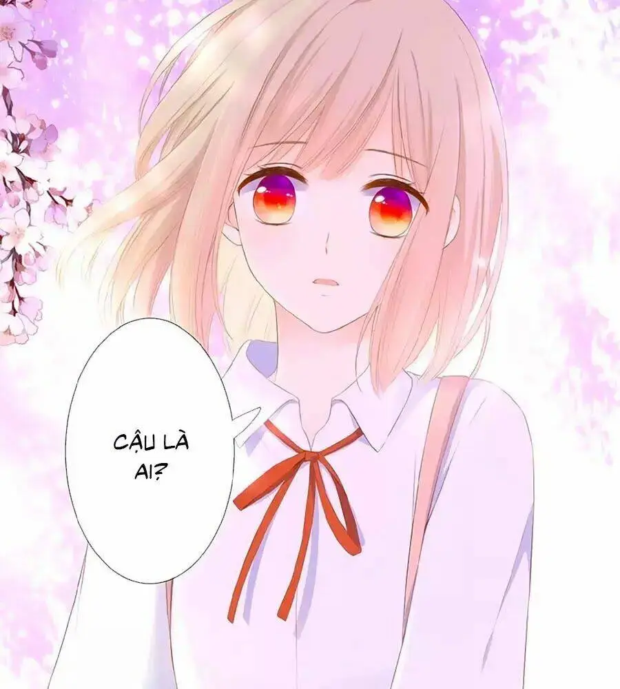 Chapter 15