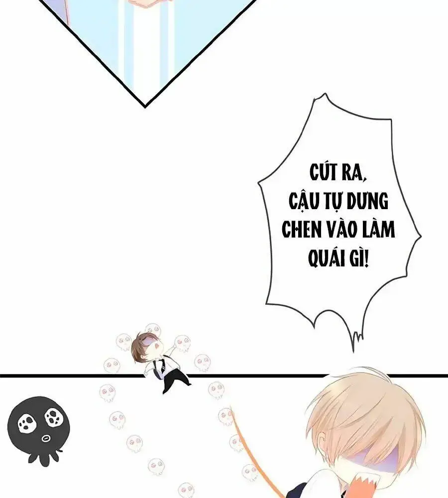 Chapter 15