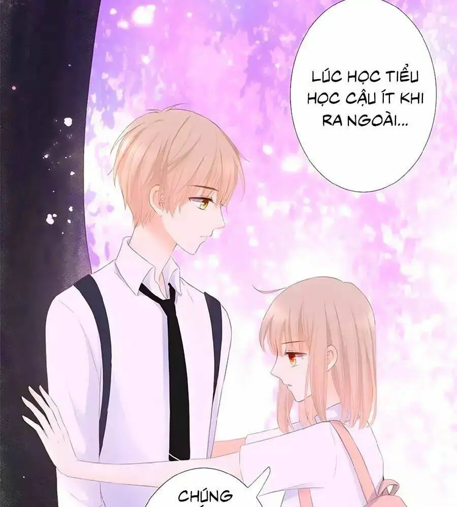 Chapter 15