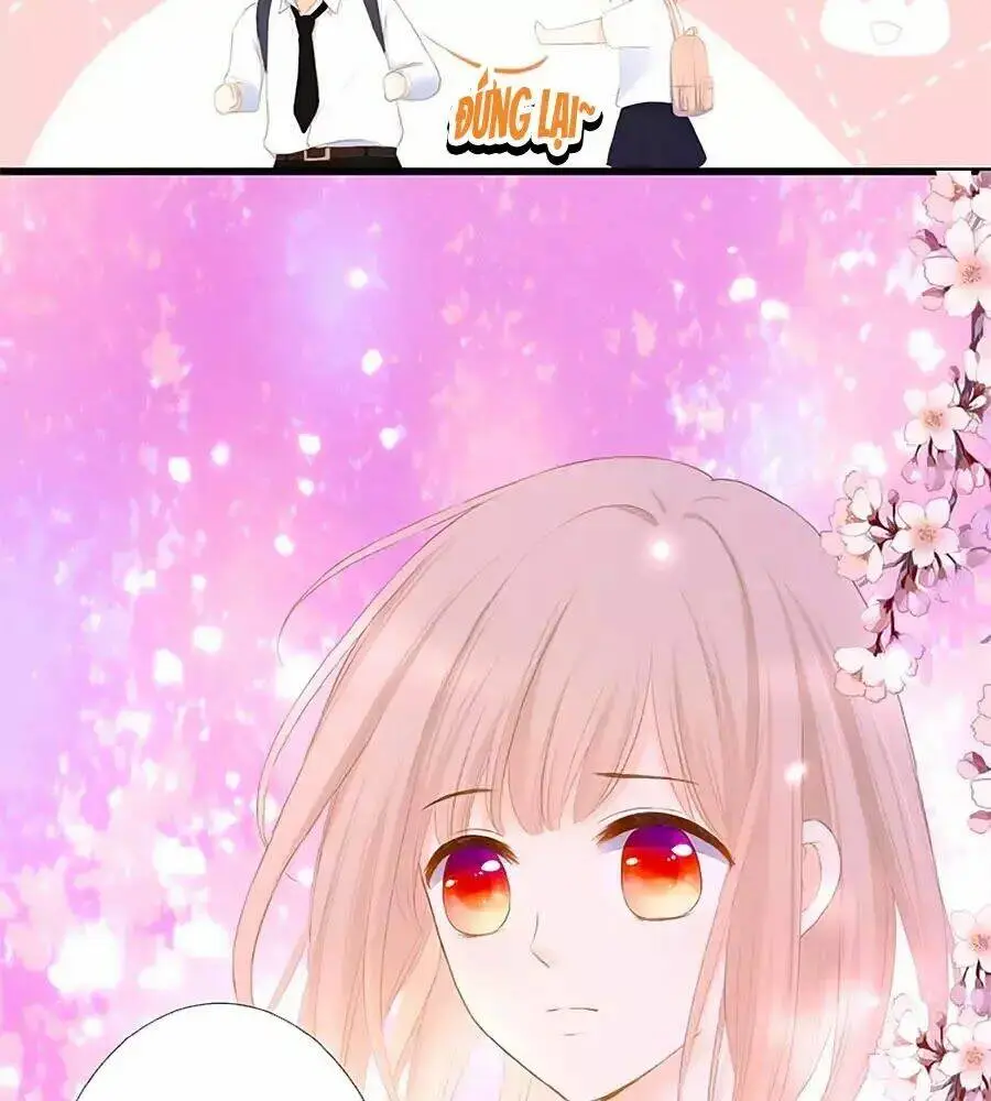 Chapter 15