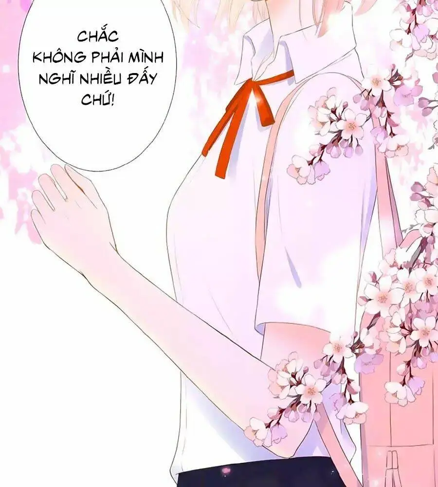 Chapter 15
