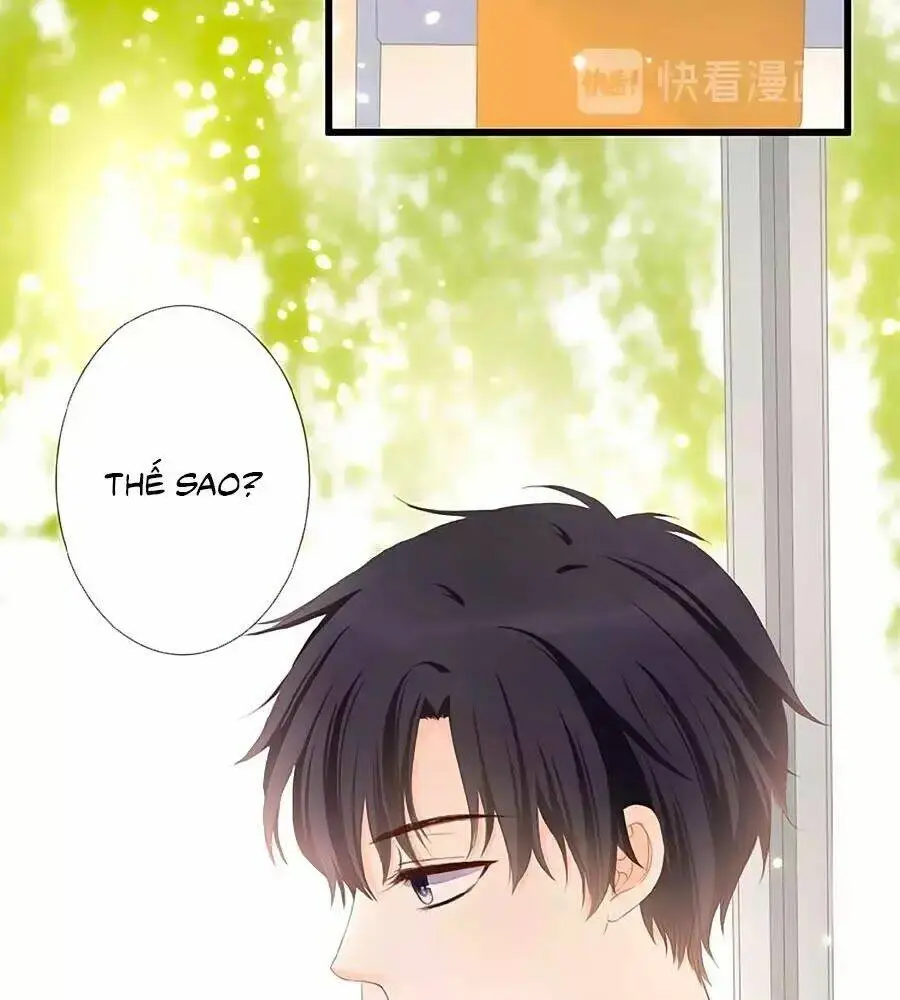 Chapter 15