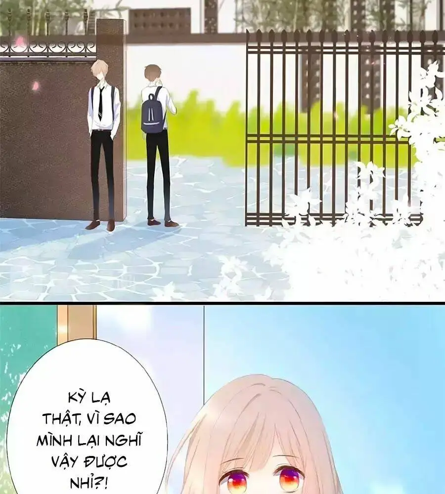Chapter 15
