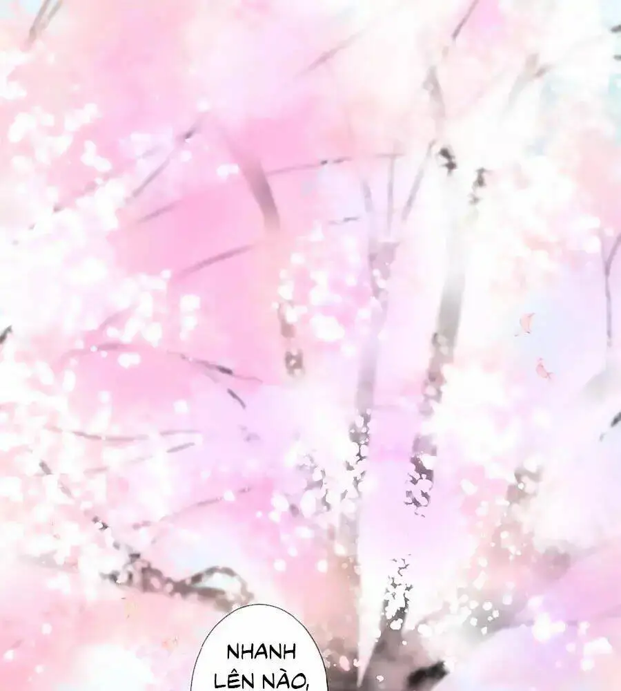 Chapter 15