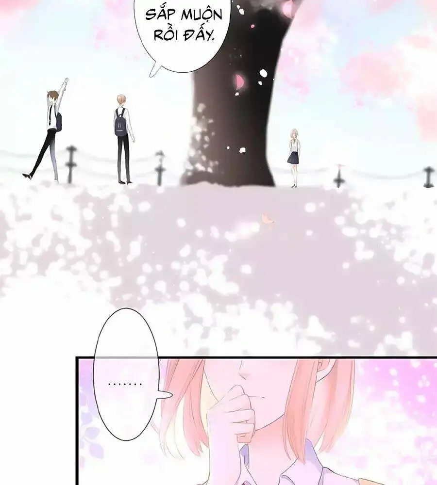 Chapter 15