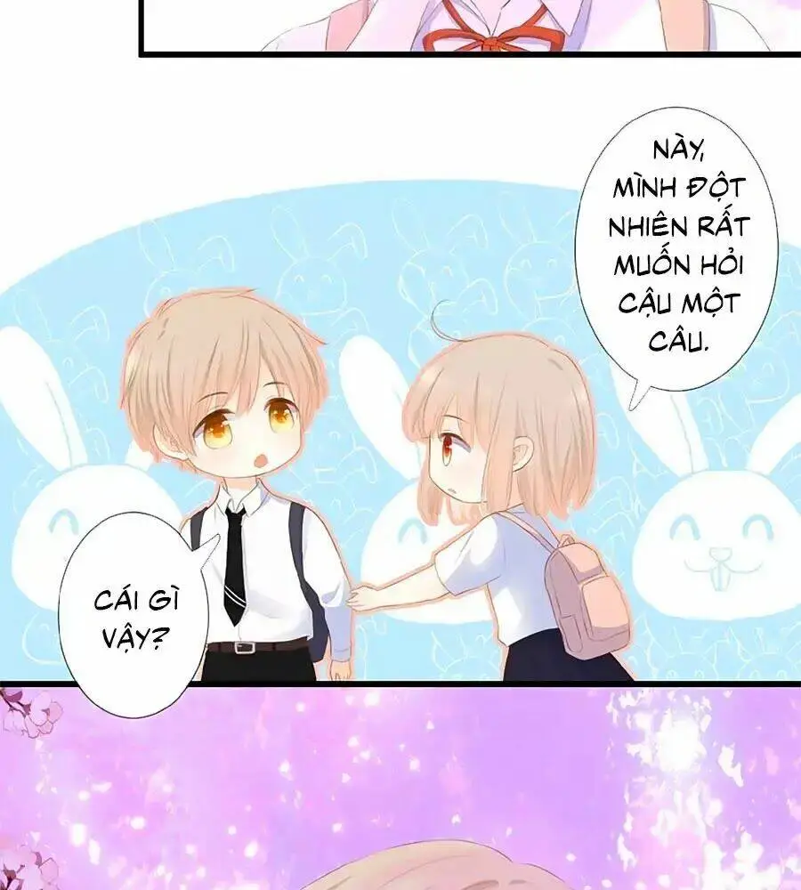 Chapter 15