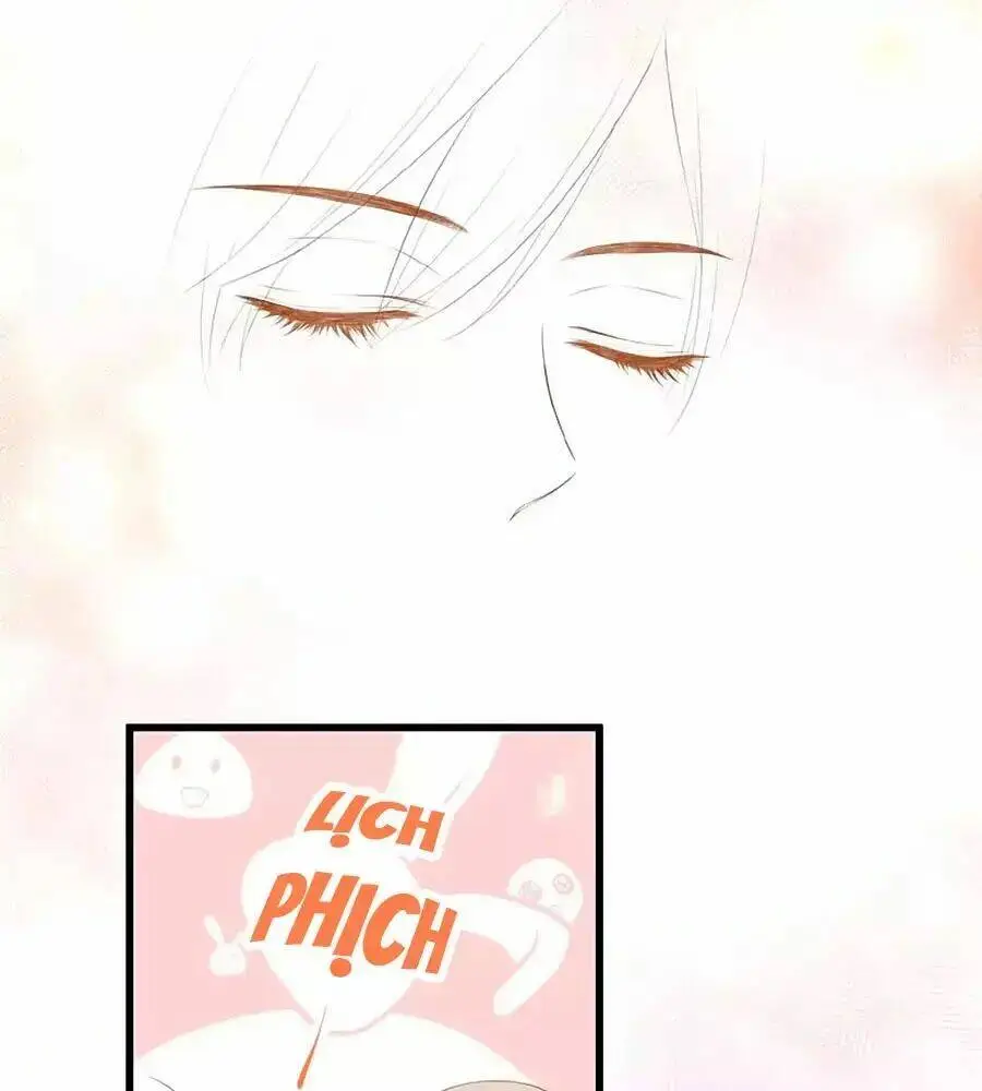 Chapter 14