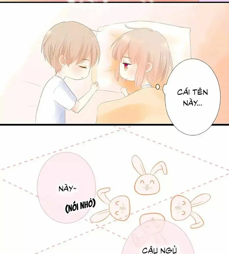 Chapter 14