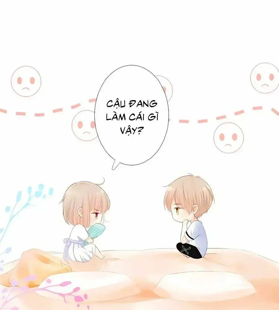 Chapter 14