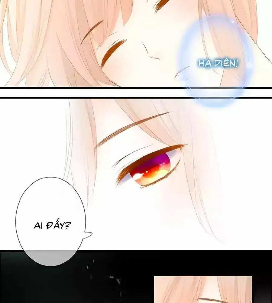 Chapter 14