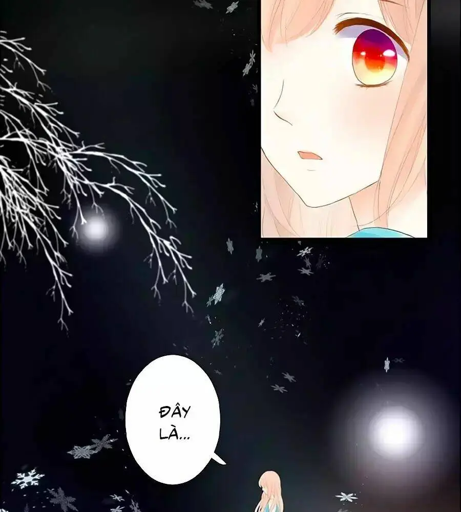 Chapter 14