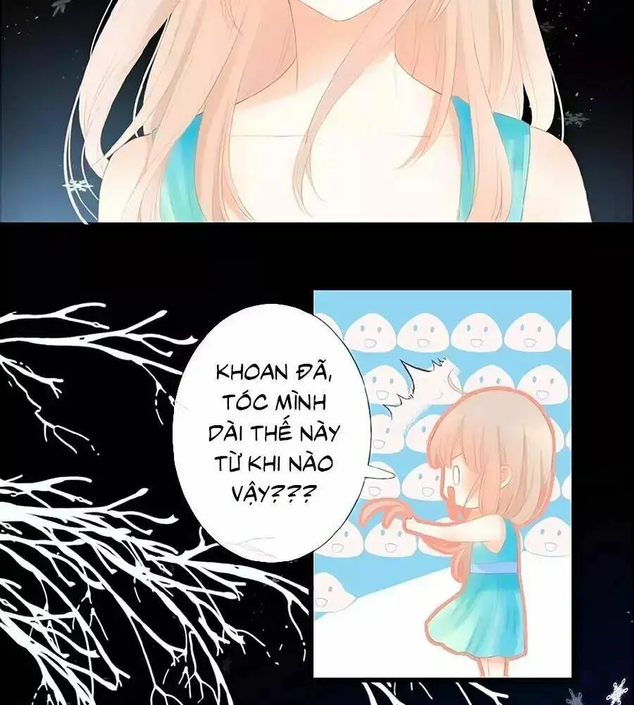 Chapter 14